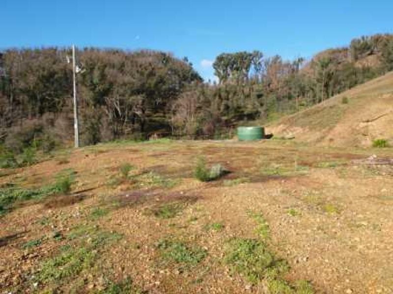 135 Peel Road, Reedy Creek VIC 3658