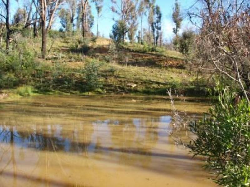 135 Peel Road, Reedy Creek VIC 3658