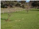 21 Bridge Street, Pyalong VIC 3521