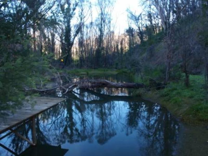 120 Peel Road, Reedy Creek VIC 3658