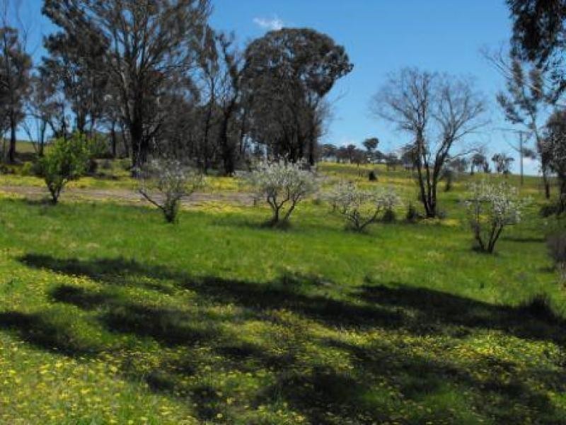 Clonbinane VIC 3658