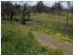 Clonbinane VIC 3658