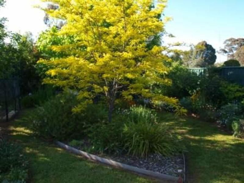 28 Gavan Street, Broadford VIC 3658