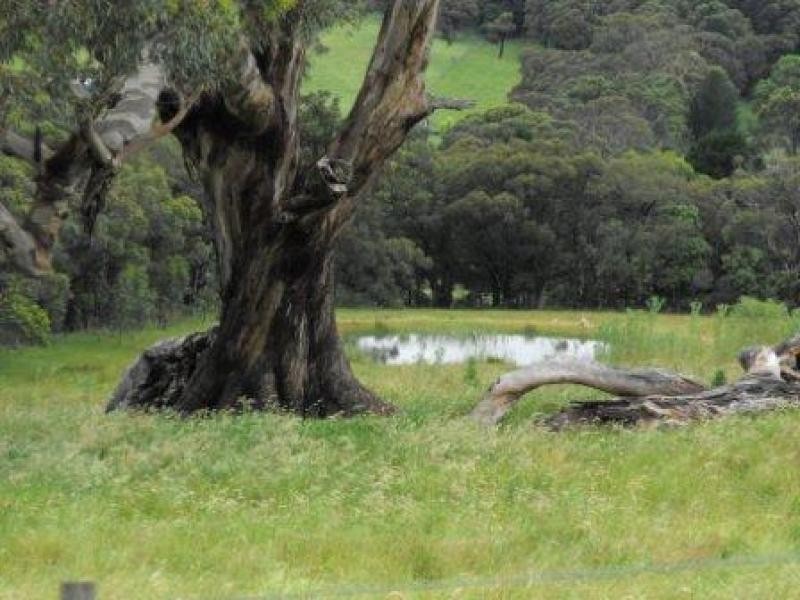 Lot 3/ Mt William Road, Lancefield VIC 3435