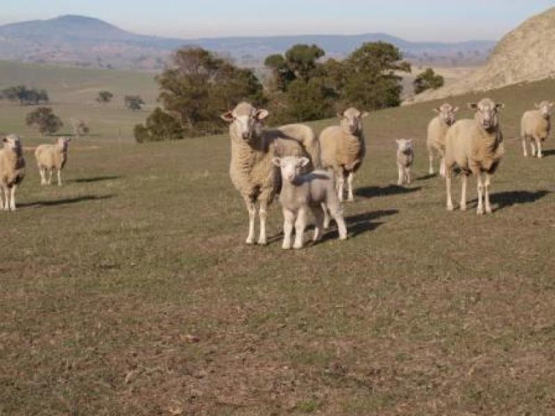 520 West Road, Pyalong VIC 3521