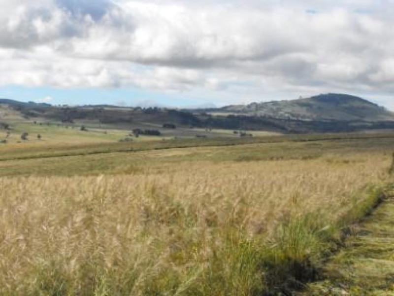 Nulla Vale VIC 3435