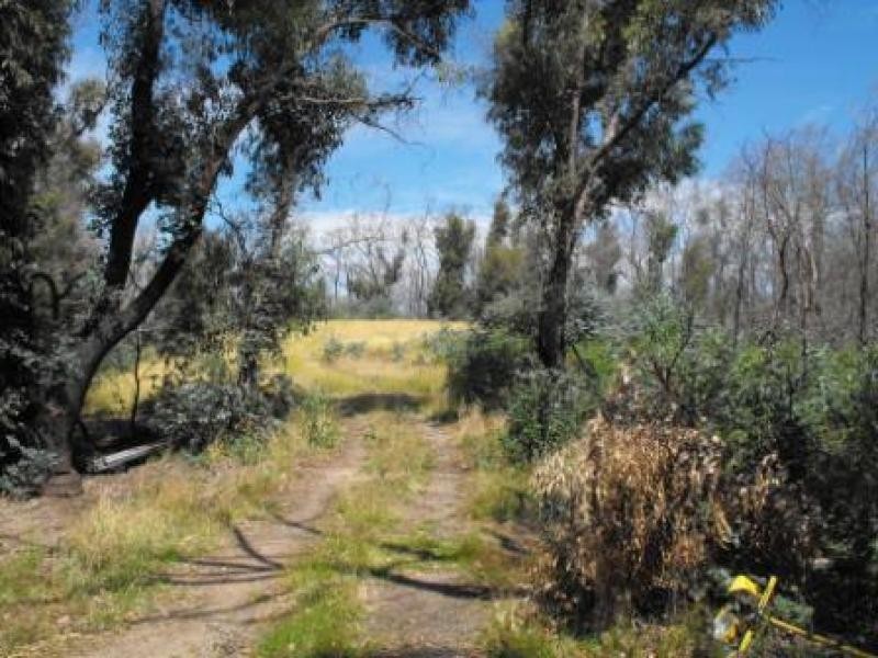 259 Murchison Spur Road, Strath Creek VIC 3658