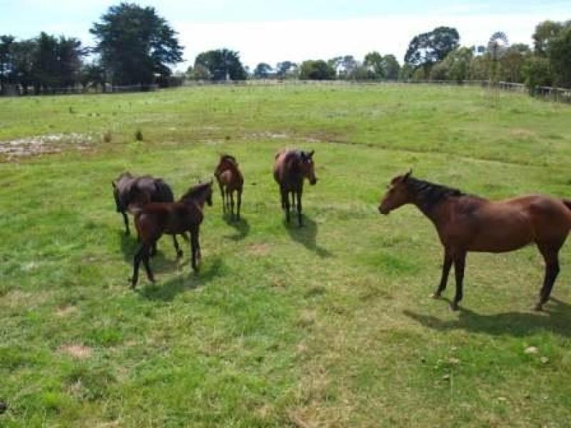 3007 Melbourne Lancefield Road, Romsey VIC 3434