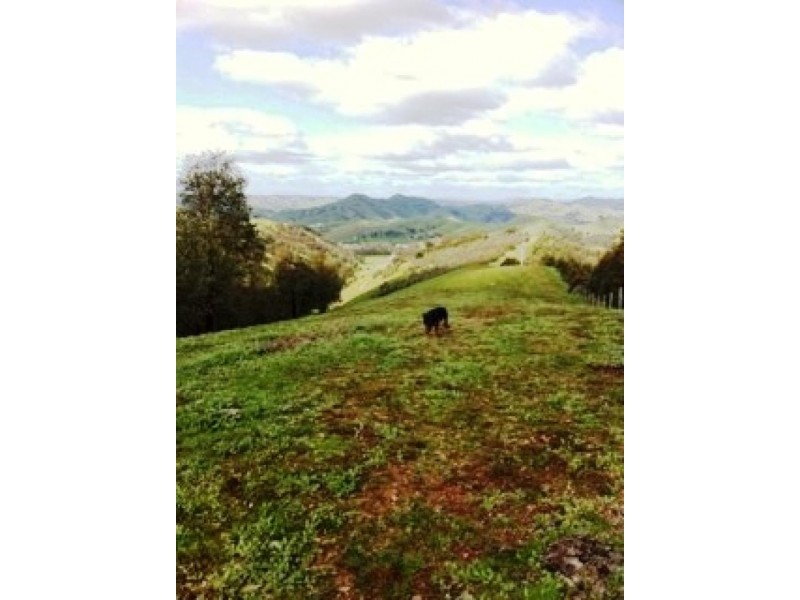 1449 Flowerdale Broadford Road, Strath Creek VIC 3658