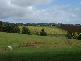 Kinglake VIC 3763