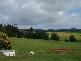 Kinglake VIC 3763