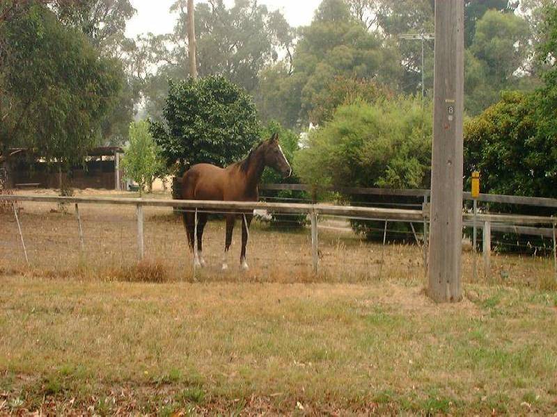 Healesville VIC 3777