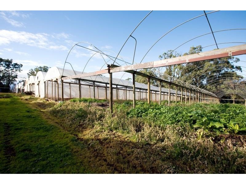 172 OLD EMERALD ROAD, Monbulk VIC 3793