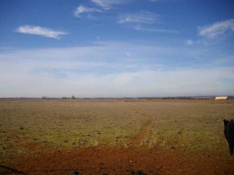 557 Mt Cottrell Road, Melton VIC 3337