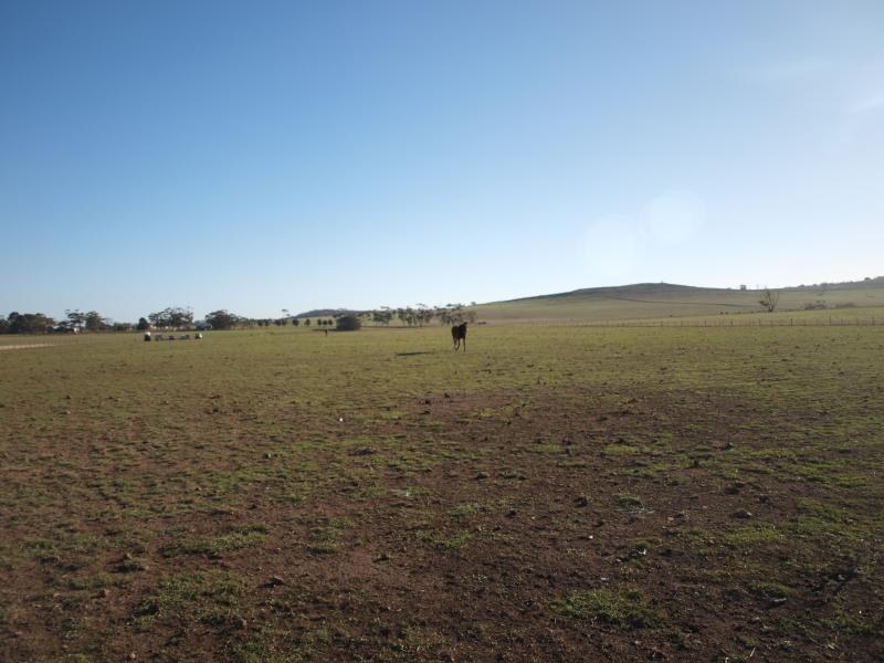 1132 Gisborne-Melton Road, Toolern Vale VIC 3337