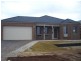 53 Gallery Avenue, Melton West VIC 3337