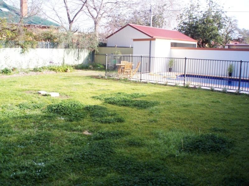 8 Beckwith Street, Wagga Wagga NSW 2650