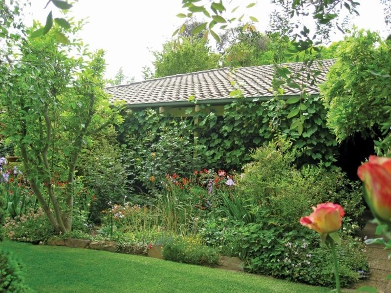 Wagga Wagga NSW 2650