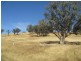 Wagga Wagga NSW 2650