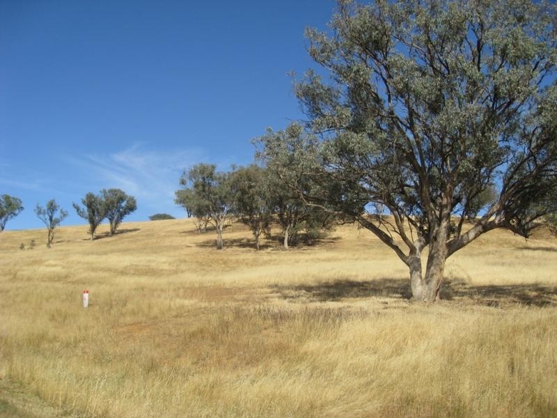 Wagga Wagga NSW 2650