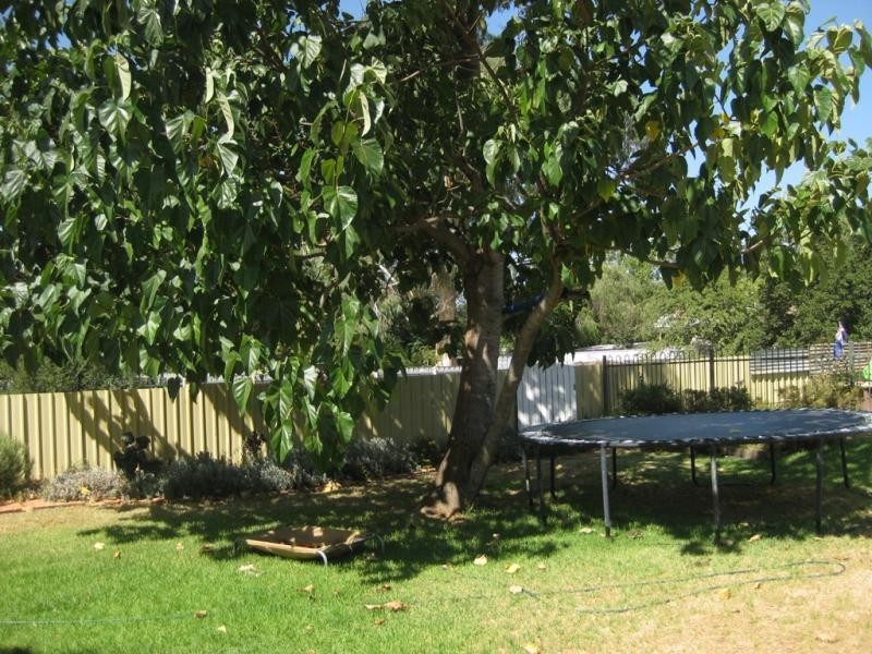 302 Lake Albert Road, Kooringal NSW 2650