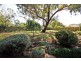 26 Lakehaven Drive, Lake Albert NSW 2650