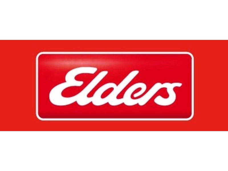 246 Hammond Avenue, Wagga Wagga NSW 2650