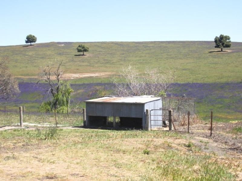Kyeamba NSW 2650