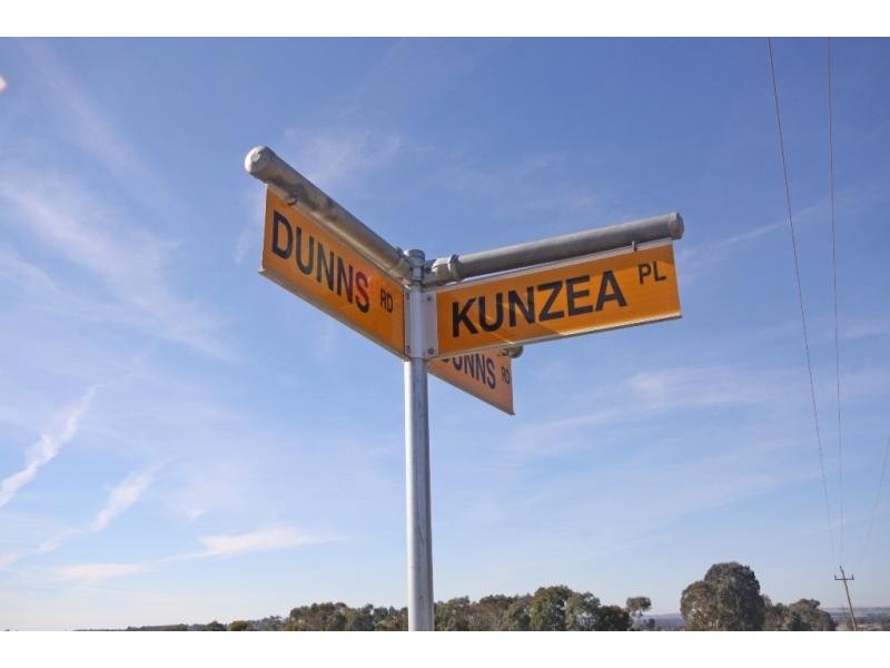 15 Kunzea Place, Wagga Wagga NSW 2650