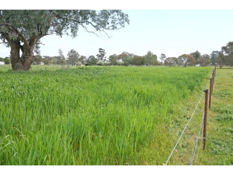 Wagga Wagga NSW 2650