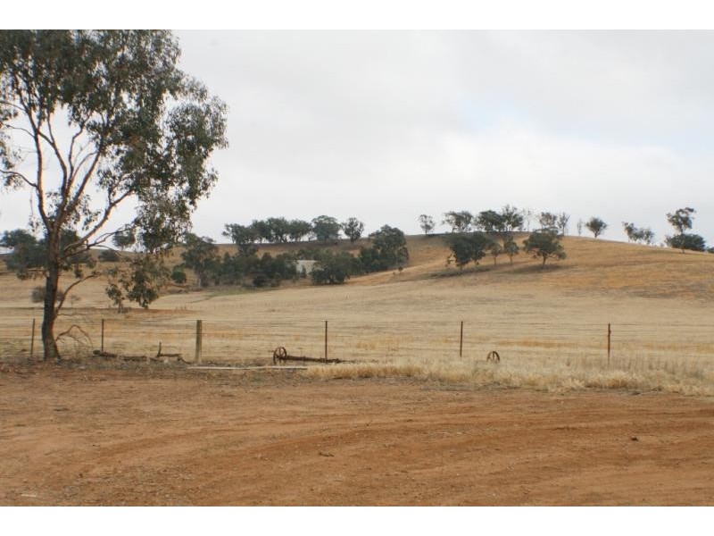 Unit 1/92 Barton Street, Lloyd NSW 2650