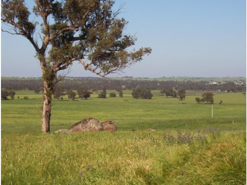 Wagga Wagga NSW 2650