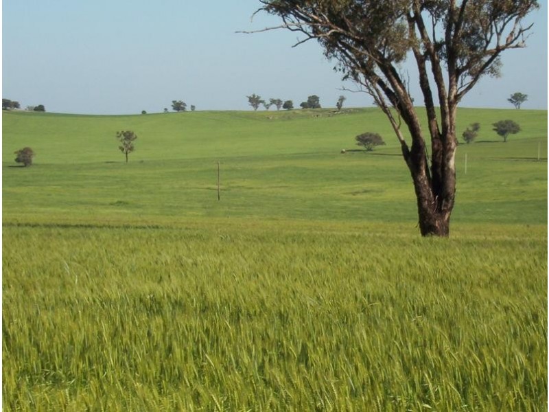 Wagga Wagga NSW 2650