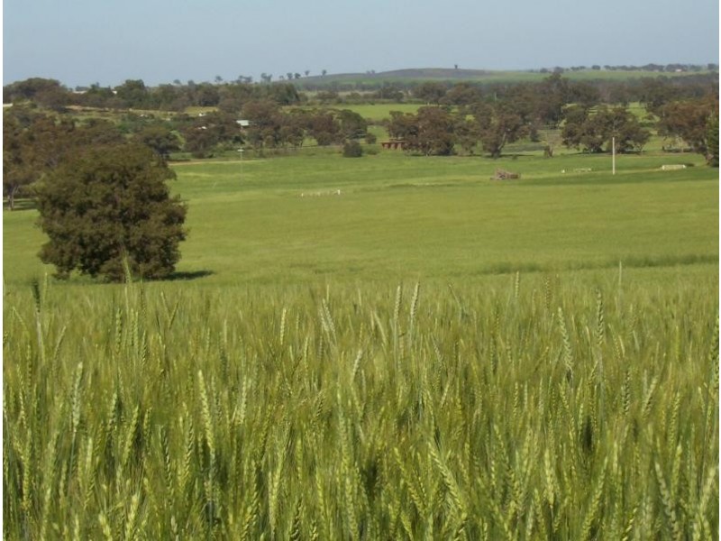 Wagga Wagga NSW 2650