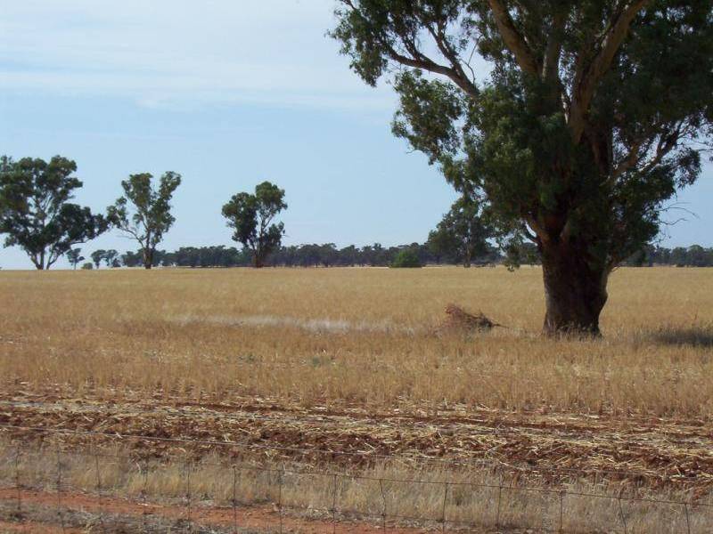 Mirrool NSW 2665