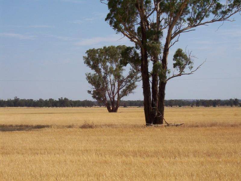 Mirrool NSW 2665