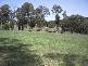 617 WILLIGOBUNG ROAD, Tumbarumba NSW 2653