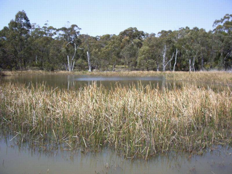 617 WILLIGOBUNG ROAD, Tumbarumba NSW 2653