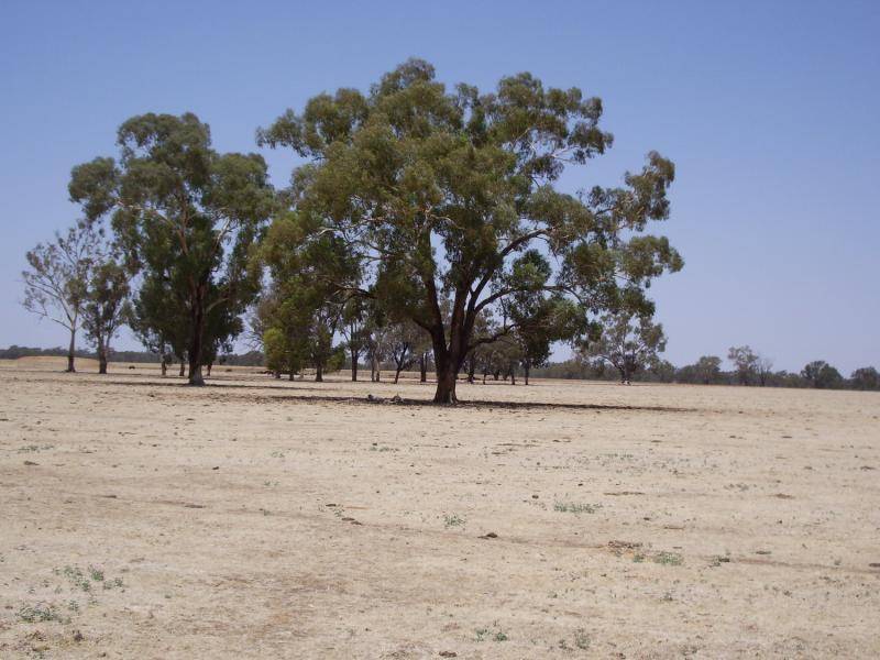 Wagga Wagga NSW 2650