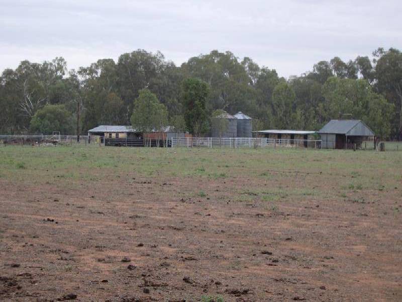 Wagga Wagga NSW 2650