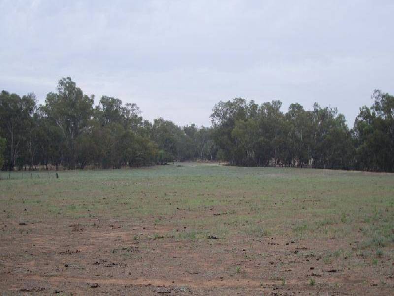 Wagga Wagga NSW 2650