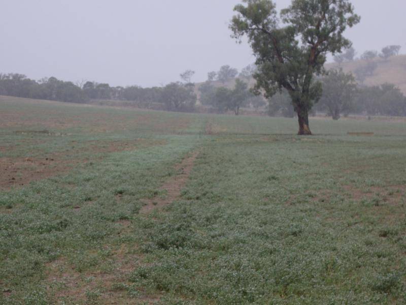 Wagga Wagga NSW 2650