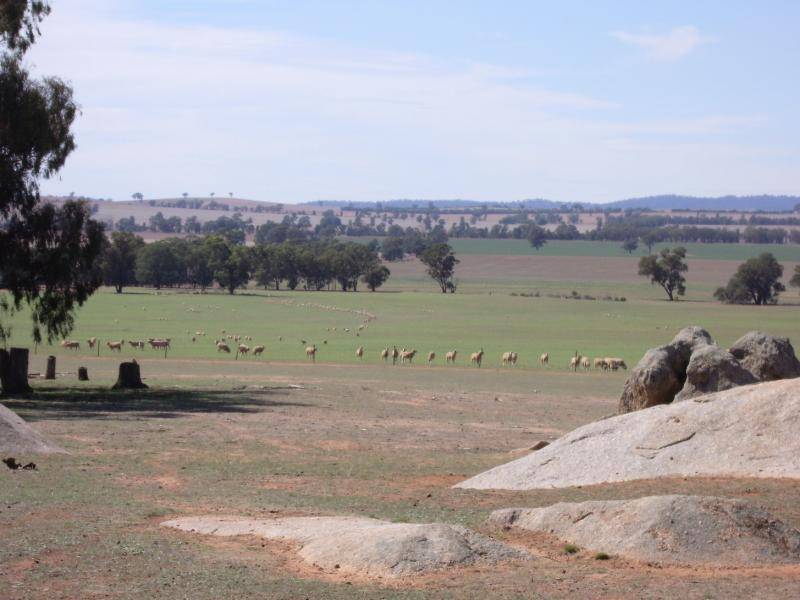 WITHERS LANE, Wagga Wagga NSW 2650