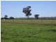 459 Temora Road, Junee NSW 2663