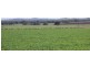 459 Temora Road, Junee NSW 2663