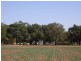 459 Temora Road, Junee NSW 2663