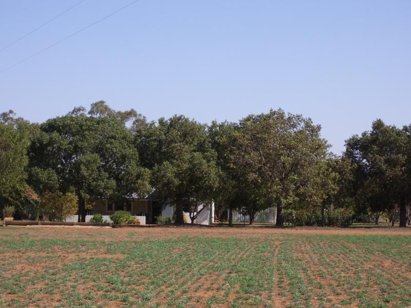 459 Temora Road, Junee NSW 2663