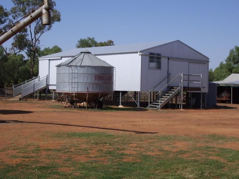 459 Temora Road, Junee NSW 2663
