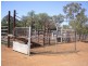 459 Temora Road, Junee NSW 2663