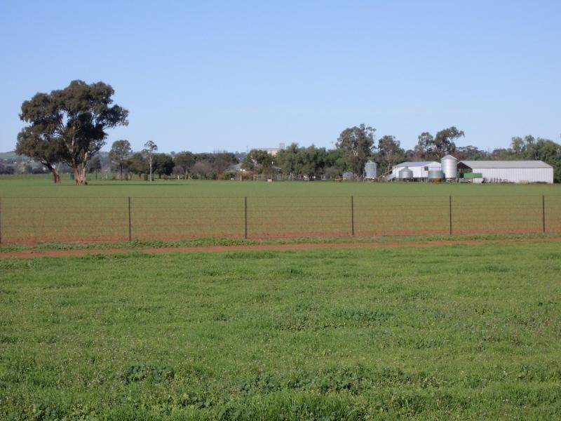 459 Temora Road, Junee NSW 2663